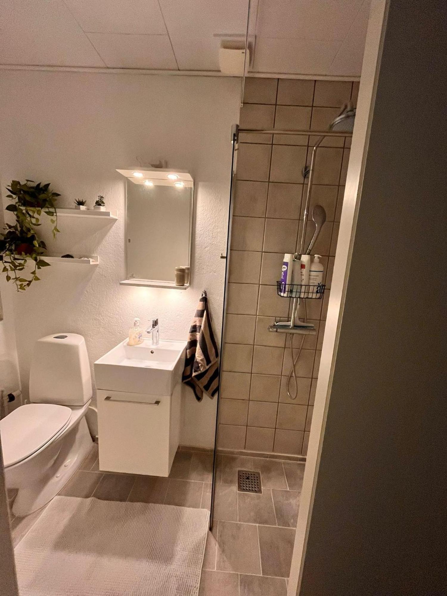 Shruti'S Home Билунд Екстериор снимка